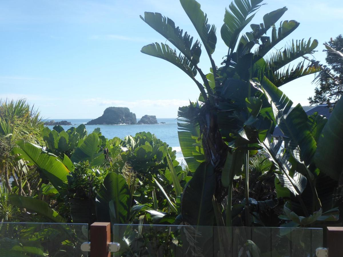 The Bay House Beachfront Accommodation Cape Foulwind Exterior foto